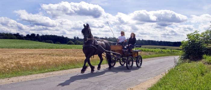 Willem, Kim und ich in unserer Freizeit! Als Ausgleich zum Reiten, fahre ich mit   meinem Willem ein bisschen...