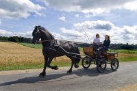 Willem, Kim und ich in unserer Freizeit! Als Ausgleich zum Reiten, fahre ich mit   meinem Willem ein bisschen...