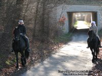 Der erste sonnige Tag in diesem Jahr! Also nix wie raus, trotz Kälte und Sturm "Andrea" - "Dampf ablassen, Seele baumeln lassen"!