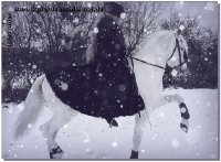 Winterwonderland! Bei eisigen Temperaturen und Schnee sind die Pferde meist etwas knackiger - trotzdem die Bewegungshalle noch nicht fertig ist, bemühen wir uns, sie abwechslungsreich zu trainieren. Es gibt kein schlechtes Wetter, bloß falsche Kleidung! Danke an meine liebe Freundin Anne Chevalley aus Spanien, die mir ihren tollen Mantel vermacht hat, worauf ich sehr stolz bin!