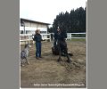 Bild: barockpferdeausbildung.de training kurse 00