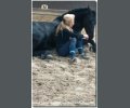 Bild: barockpferdeausbildung.de training kurse 30