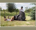 Bild: barockpferdeausbildung.de training kurse 57