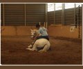 Bild: barockpferdeausbildung.de training kurse 61