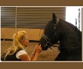 Bild: barockpferdeausbildung.de training kurse 72