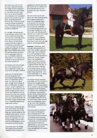 Zeitschrift: Pferde Regional Bayern & Hessen 11/2008 -Seite-2-