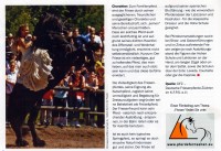 Zeitschrift: Pferde Regional Bayern & Hessen 11/2008 -Seite-3-