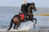 Cobalto mit Susann in St. Peter Ording ! Ein tolles Team !