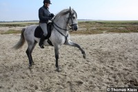 Jaleosso, ein 6jhriger P.R.E. Hengst mit seiner Besitzerin, Susanne (reitet ebenfalls im Showteam Doma Clasica) im spanischen Schritt (derzeit in Beritt bei Gaby).