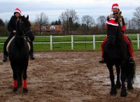 Gaby und Ihr Team wünschen allen fröhliche Weihnachten!