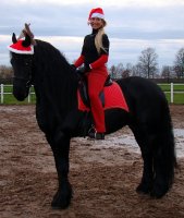 Gaby und Ihr Team wünschen allen fröhliche Weihnachten!