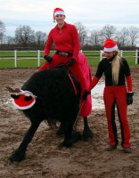 Gaby und Ihr Team wünschen allen fröhliche Weihnachten!