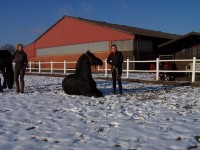 Jessica mit Pieter - er hat schon großes Vertrauen und liegt auch im Schnee!