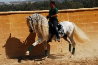 Oktober 2009 - Impressionen von unserem Aufenthalt in Andalusien mit herzlichem Dank an Patricia Richter