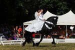 Hendrike vom Friesenstall Marschhorst - "Angel, bzw. Queen of Marschhorst"