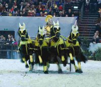 zentralen Hengstkörung des KFPS in Leeuwarden