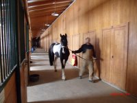 Luxus-Quarantäne-Station "Blue Diamond Stables" in Ohio