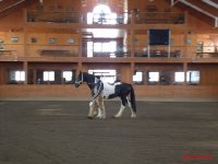 Luxus-Quarantäne-Station "Blue Diamond Stables" in Ohio