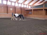 Luxus-Quarantäne-Station "Blue Diamond Stables" in Ohio