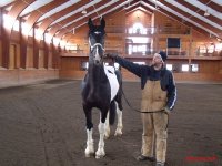 Luxus-Quarantäne-Station "Blue Diamond Stables" in Ohio