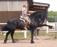 Willem und ich im Sommer 2009