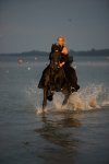 Gaby mit Willem im Wasser