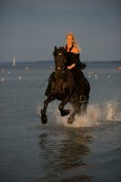 Ein Kindheitstraum ging in erfüllun! Gaby mit Willem am Strand