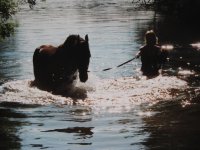 Aber schwimmen wollte er nicht