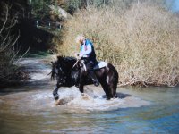 Edersee Ostern 1995