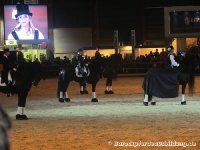 zentrale Hengstkörung des KFPS 2012 in Leeuwarden