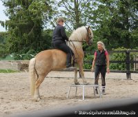 Hafi "Merlin" lernt fleißig seine Lektionen