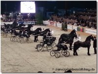 zentralen Hengstkörung des KFPS