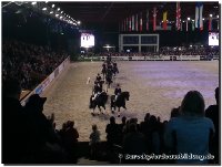 zentralen Hengstkörung des KFPS