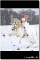 "Winterträume" Foto-Session mit meiner Freundin und Kollegin, Jenny Niebuhr (FN-Bereiterin) und ihrem PRE "Reli" (bei "Team" mit Shetty "Bolle") Wir freuen uns wieder auf gemeinsame Show-Auftritte ab Sommer 2013