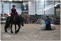 Anlässlich der Messe "Partner Pferd" in Leipzig war ich gemeinsam mit dem Barockpferdehof Liers zum Showauftritt unterwegs!