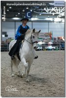 Anlässlich der Messe "Partner Pferd" in Leipzig war ich gemeinsam mit dem Barockpferdehof Liers zum Showauftritt unterwegs!