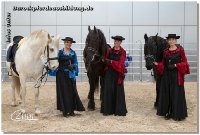 Anlässlich der Messe "Partner Pferd" in Leipzig war ich gemeinsam mit dem Barockpferdehof Liers zum Showauftritt unterwegs!