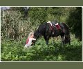 Bild: herbst fotoshooting 0009