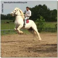 Lieber Matthias, an Silvester 2016 hast Du aprupt Dein Leben auf schreckliche Art und Weise beendet. Deinen Abschiedsbrief habe ich ettliche Male gelesen.....