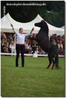 Wir freuen uns sehr über den sehr großen Zuspruch und die großartige Unterstützung von vielen Pferdefreunden, die am Sonntag, den 13. August 2017 mit ihren Pferden zu uns kommen, um unseren Tag zum Highlight des Jahres zu machen.