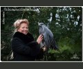 Bild: Greifvogel-Shooting 2017 0003