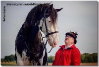 So bin ich doch sehr stolz "Flashman" hier gehabt zu haben - ein Shire Horse (es gibt nur 1000 in Deutschland etwa), 3 x in Folge Horse of the Year, geht nun nach Hause! Sicherlich haben uns schon ein paar Kunden in Facebook gesehen, das imposante Pferd ist mit 1,90m Stockmaß und 1.000kg Lebendgewicht aber wirklich ein Lamm.