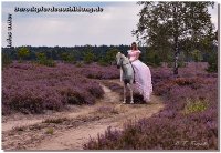 Nicht nur mein Brautkleid ist in perfekte Hände gekommen, auch das Einhorn, auf dem die liebe Franzi sitzt! Gemeinsam mit einer deutschen Freundin in Spanien haben wir ihr dieses Pferd vermittelt - für nichts! Der Schimmel ist schon 21 Jahre alt, sein Besitzer war schwer krank, er wünschte sich im Krankenhaus nichts mehr, als seinen weißen Freund versorgt zu wissen. 