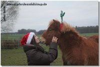 Das Team von Barockpferdeausbildung wünscht Euch schöne Weihnachten und einen mega guten Rutsch ins neue Jahr