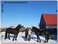 Der Winter hat uns alle fest im Griff - eisige Temperaturen bis knapp unter -20 Grad halten uns auf Trab! 