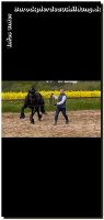 Endlich schleicht sich der Sommer langsam ein - gefühlt täglich Regen und im Matsch draußen zu reiten zehrt zusätzlich zu Corona echt an den Nerven! Aber wir sind ja immer positiv gestimmt und freuen uns auf ein schöneres Arbeiten draußen mit unseren 4Beinern! Da es ja nun Deutschland weit Lockerungen gibt, dürft ihr auch wieder zum Training kommen - ob Zirzensik, Dressur oder Abschrecktraining in unserer "Disko-Scheune". Jan und ich freuen uns auf Kurse am Hof, auch dürften wir wieder auswärts unterrichten.