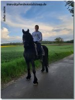 Endlich schleicht sich der Sommer langsam ein - gefühlt täglich Regen und im Matsch draußen zu reiten zehrt zusätzlich zu Corona echt an den Nerven! Aber wir sind ja immer positiv gestimmt und freuen uns auf ein schöneres Arbeiten draußen mit unseren 4Beinern! Da es ja nun Deutschland weit Lockerungen gibt, dürft ihr auch wieder zum Training kommen - ob Zirzensik, Dressur oder Abschrecktraining in unserer "Disko-Scheune". Jan und ich freuen uns auf Kurse am Hof, auch dürften wir wieder auswärts unterrichten.