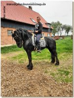 Endlich schleicht sich der Sommer langsam ein - gef&uuml;hlt t&auml;glich Regen und im Matsch drau&szlig;en zu reiten zehrt zus&auml;tzlich zu Corona echt an den Nerven! Aber wir sind ja immer positiv gestimmt und freuen uns auf ein sch&ouml;neres Arbeiten drau&szlig;en mit unseren 4Beinern! Da es ja nun Deutschland weit Lockerungen gibt, d&uuml;rft ihr auch wieder zum Training kommen - ob Zirzensik, Dressur oder Abschrecktraining in unserer "Disko-Scheune". Jan und ich freuen uns auf Kurse am Hof, auch d&uuml;rften wir wieder ausw&auml;rts unterrichten.