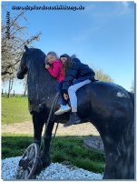 Endlich schleicht sich der Sommer langsam ein - gefühlt täglich Regen und im Matsch draußen zu reiten zehrt zusätzlich zu Corona echt an den Nerven! Aber wir sind ja immer positiv gestimmt und freuen uns auf ein schöneres Arbeiten draußen mit unseren 4Beinern! Da es ja nun Deutschland weit Lockerungen gibt, dürft ihr auch wieder zum Training kommen - ob Zirzensik, Dressur oder Abschrecktraining in unserer "Disko-Scheune". Jan und ich freuen uns auf Kurse am Hof, auch dürften wir wieder auswärts unterrichten.