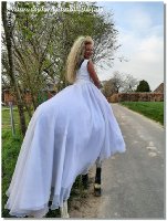 Endlich schleicht sich der Sommer langsam ein - gefühlt täglich Regen und im Matsch draußen zu reiten zehrt zusätzlich zu Corona echt an den Nerven! Aber wir sind ja immer positiv gestimmt und freuen uns auf ein schöneres Arbeiten draußen mit unseren 4Beinern! Da es ja nun Deutschland weit Lockerungen gibt, dürft ihr auch wieder zum Training kommen - ob Zirzensik, Dressur oder Abschrecktraining in unserer "Disko-Scheune". Jan und ich freuen uns auf Kurse am Hof, auch dürften wir wieder auswärts unterrichten.